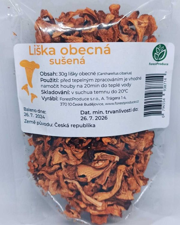 Liška obecná - Snailex